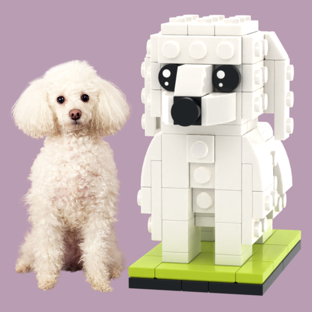 Custom Poodle mini brick figure before and after of a classic Poodle dog gift for owner