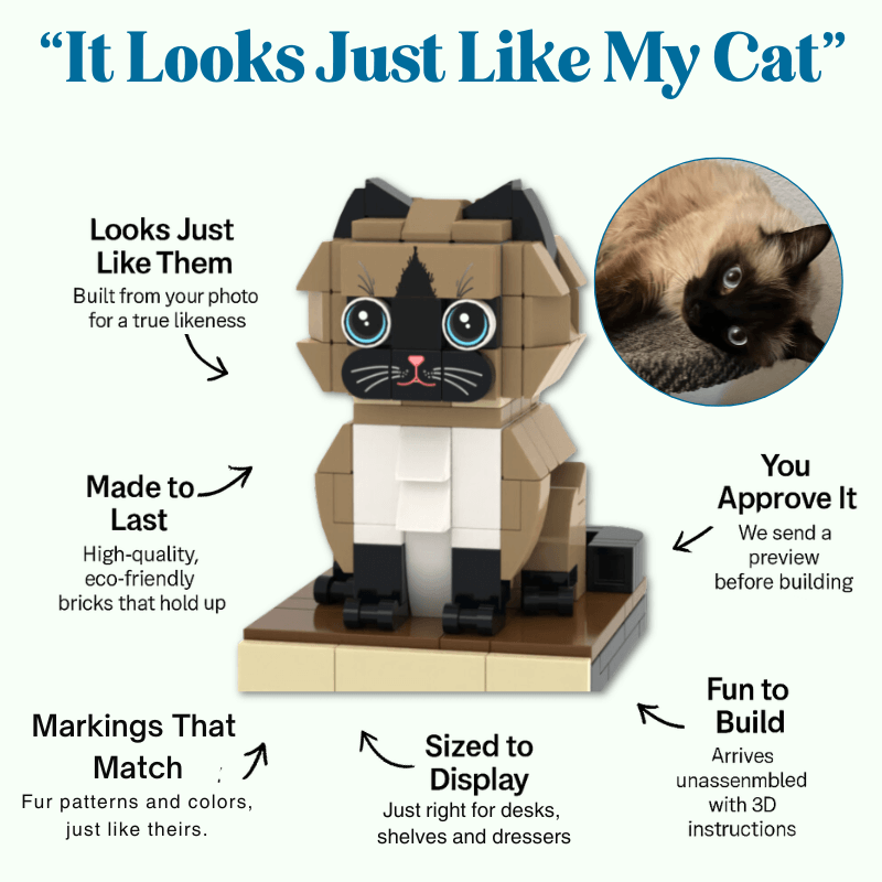 custom brick mini figure cat model with features and a comparison to a real cat.