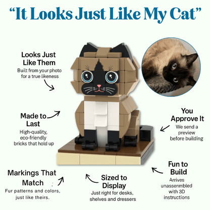 custom brick mini figure cat model with features and a comparison to a real cat.