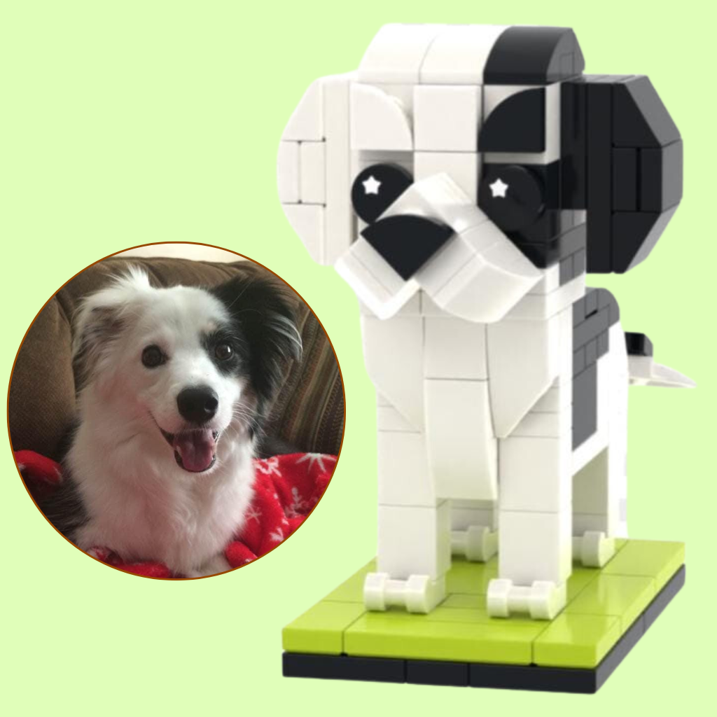 Custom Border Collie Figure