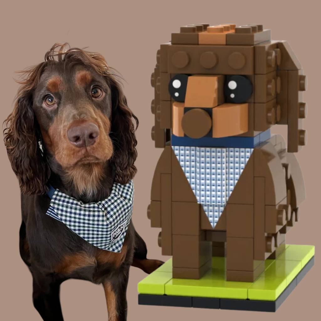 Real cocker spaniel dog next to a LEGO model of a dog on a beige background