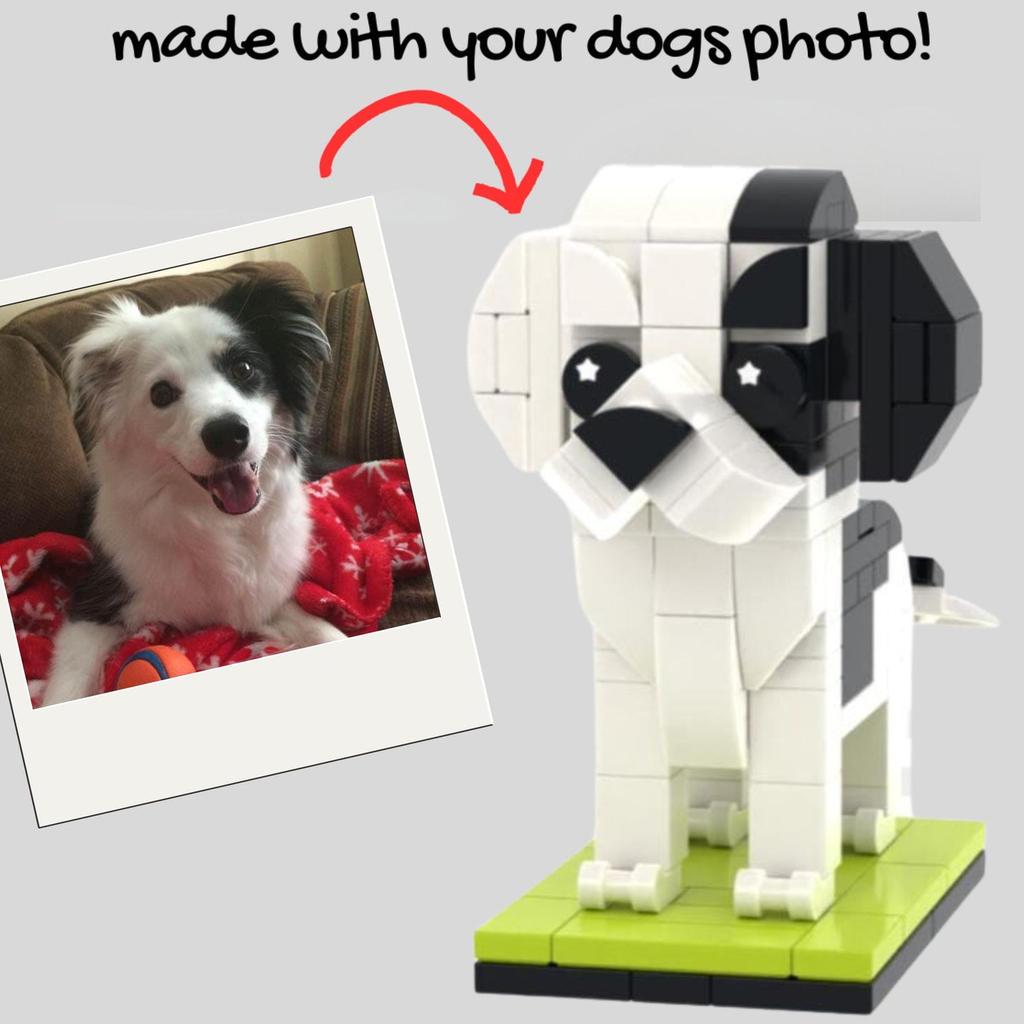 Custom Border Collie Figure