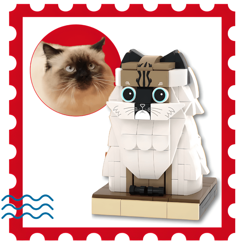 LEGO style Before and after of a long-haired cat custom brick figure