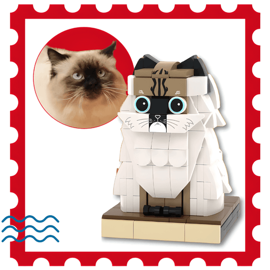 LEGO style Before and after of a long-haired cat custom brick figure