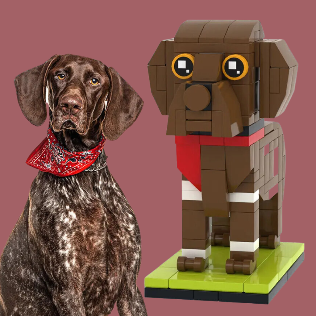 Custom German Shorthaired Pointer Figure