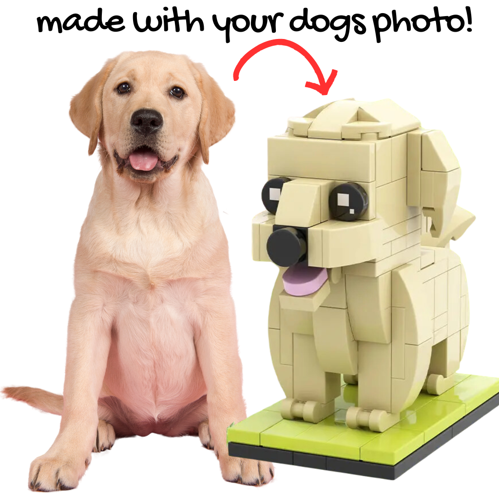 Real dog next to a Labrador lego mini brick dog 