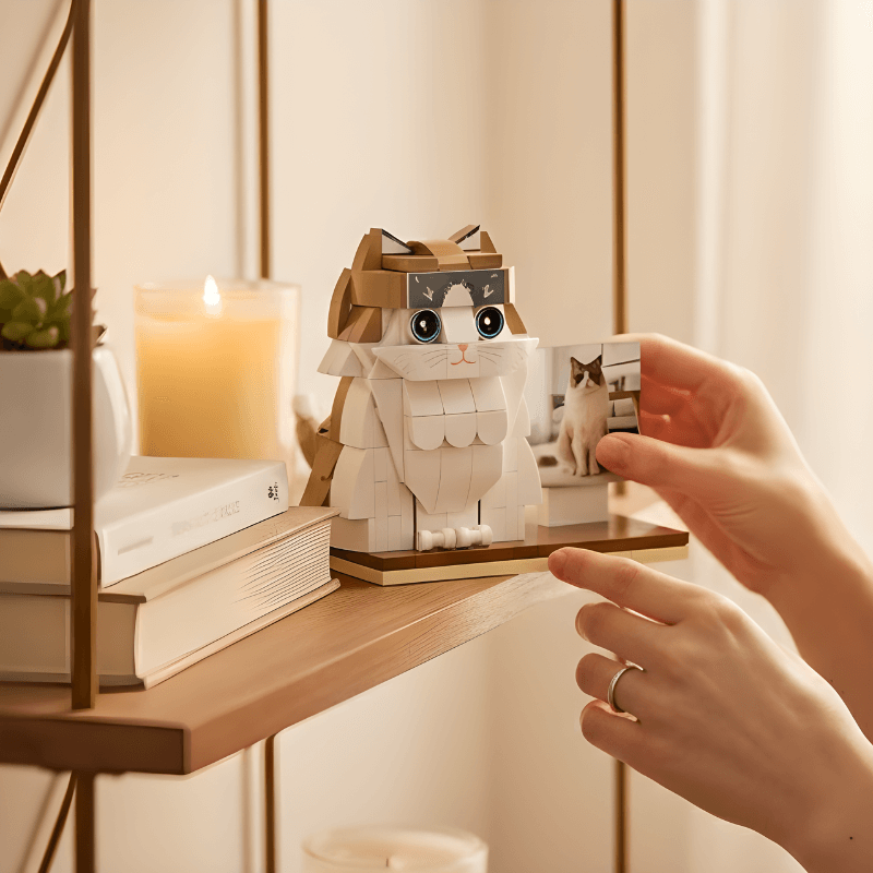 Hand holding a small cat-shaped object on a wooden shelf with books and a candle in the background.