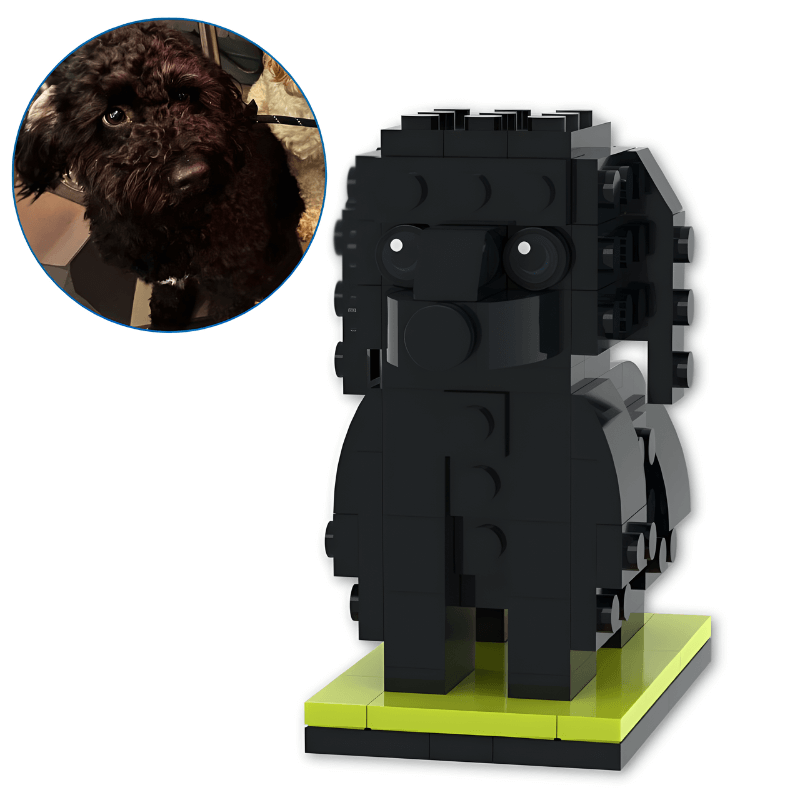 Custom black Cavapoo dog brick figure gift for Cavoodle lovers. Before and after