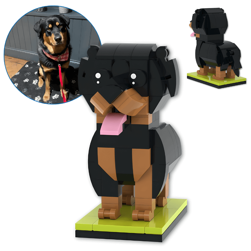 Rottweiler custom mini brick figure from your photo set with a real dog for comparison
